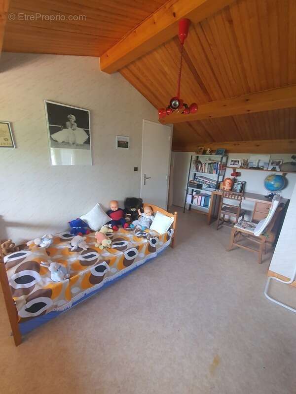 Maison à CHATEAUNEUF-SUR-ISERE