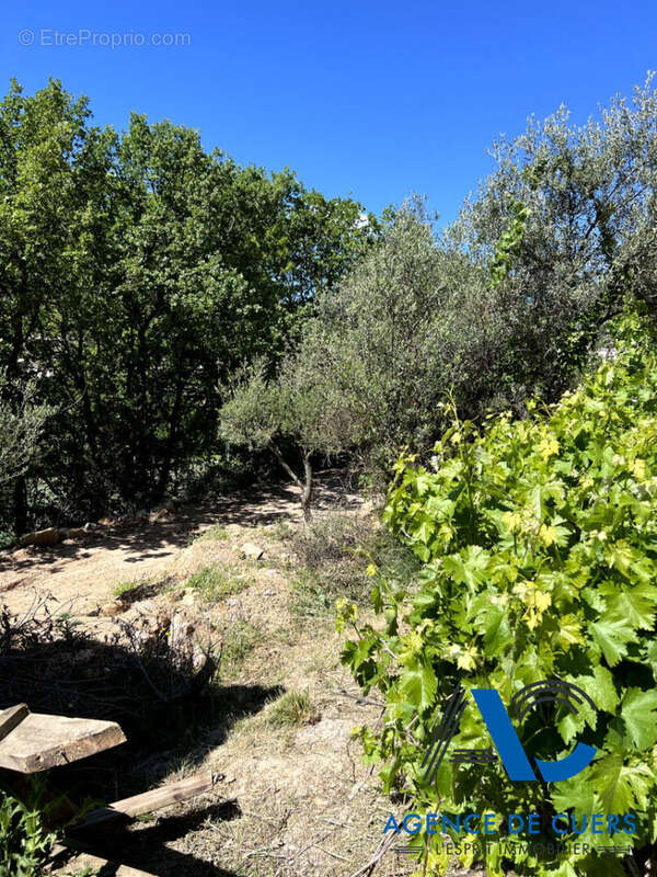 Terrain à SOLLIES-TOUCAS