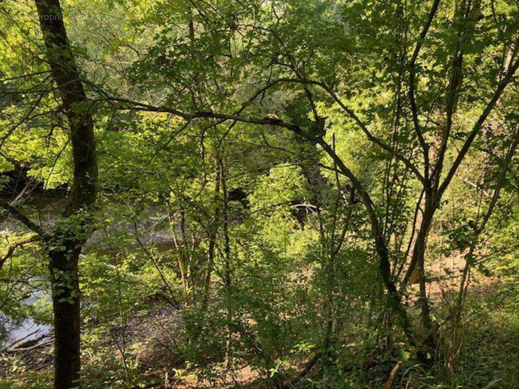Domaine Forestier et chasse privée à vendre - photo 14