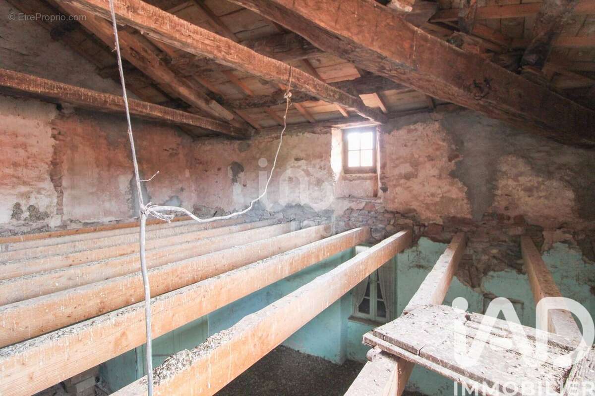 Photo 7 - Maison à MONTLAUR