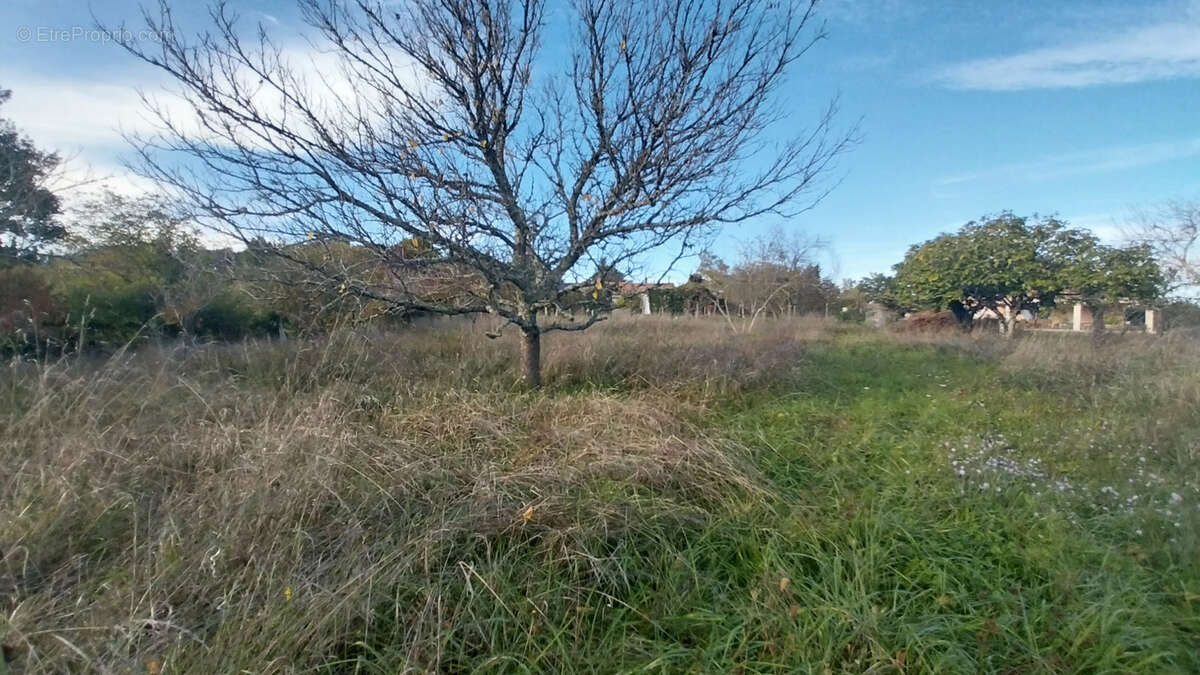 Maison à CHANCELADE