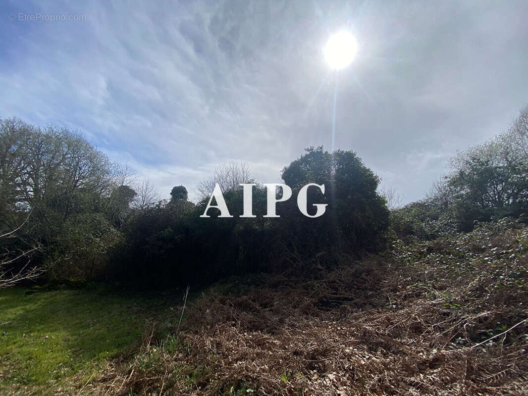 Terrain à LESCOUET-GOUAREC