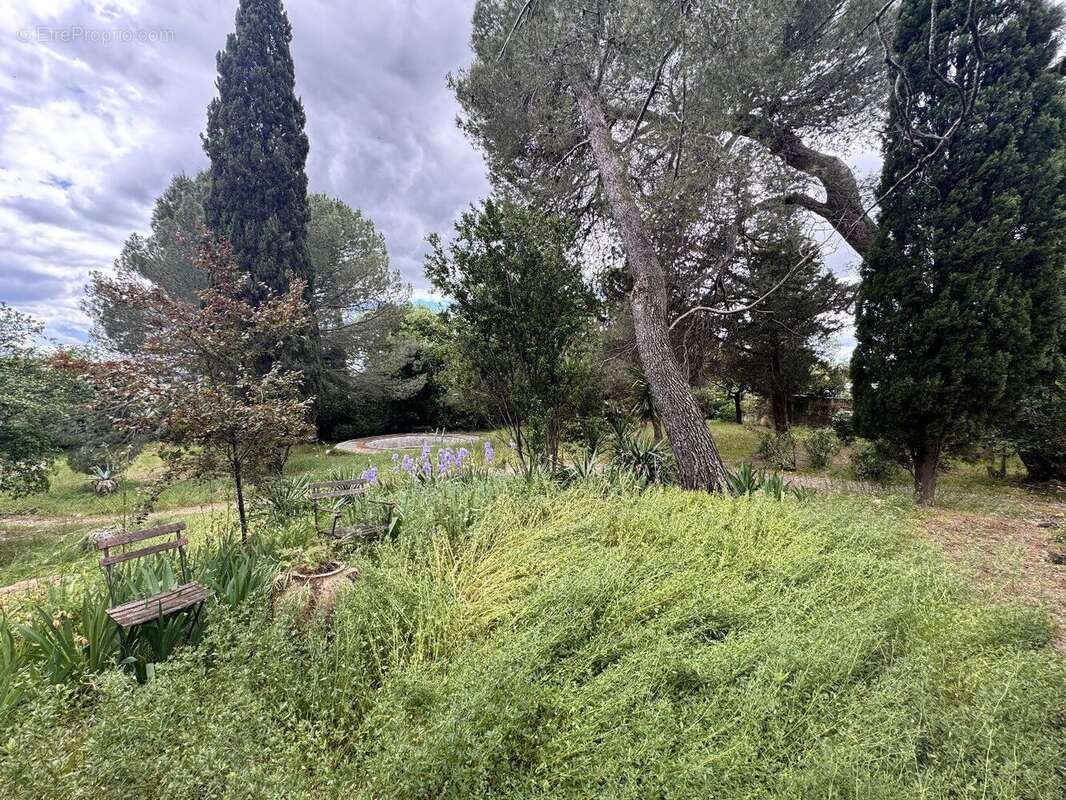 Photo 5 - Maison à PEZENAS
