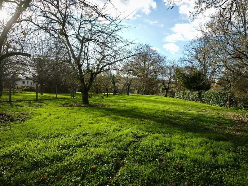 Maison à AIRE-SUR-L&#039;ADOUR