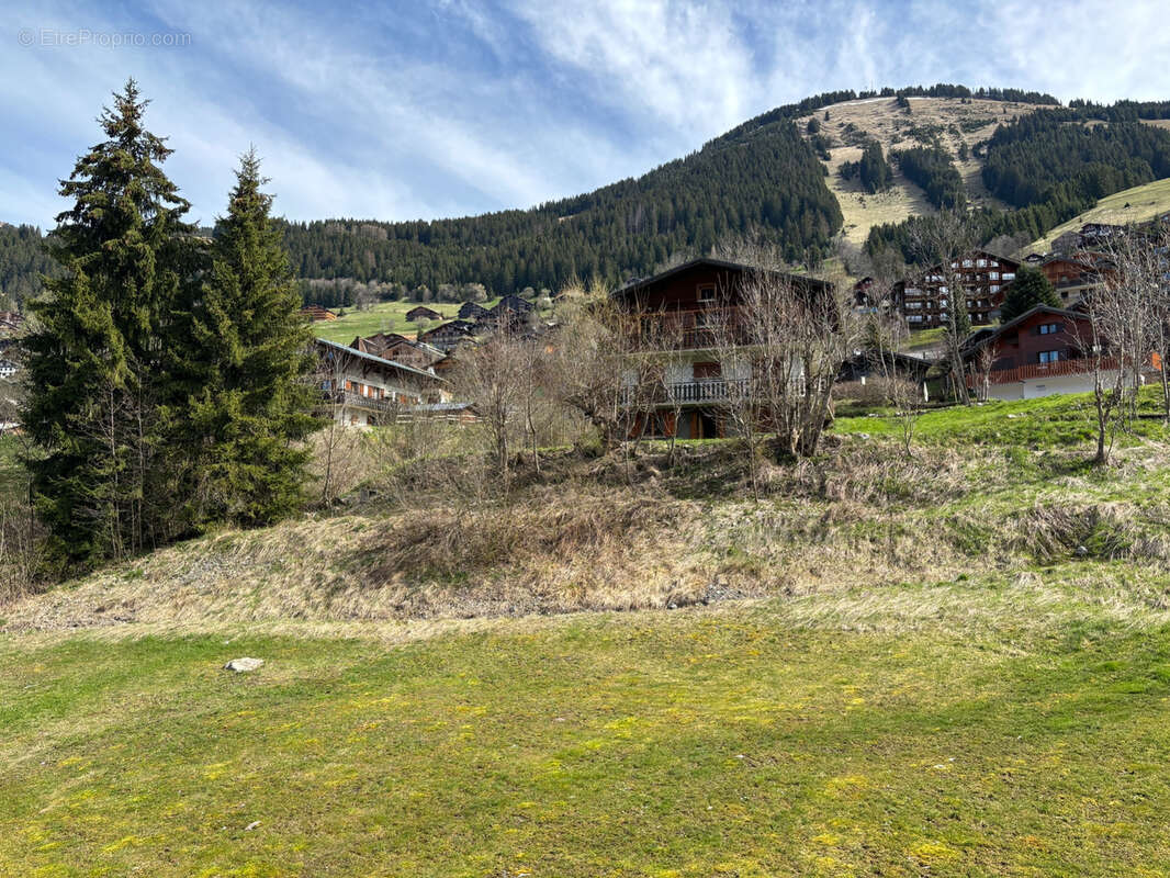Appartement 37 m² à Chatel  - photo 14