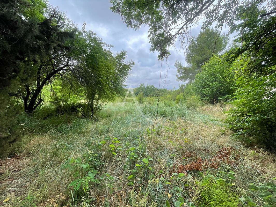 Terrain à VILLEPINTE