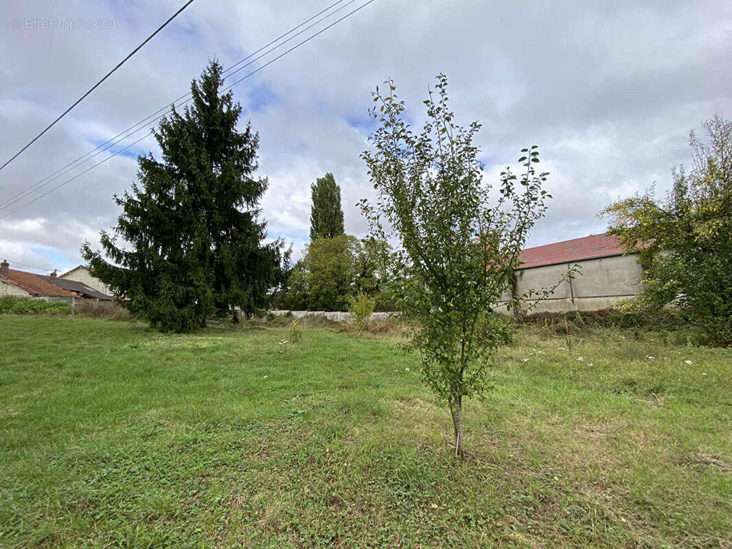 Maison à NEUILLY-SAINT-FRONT
