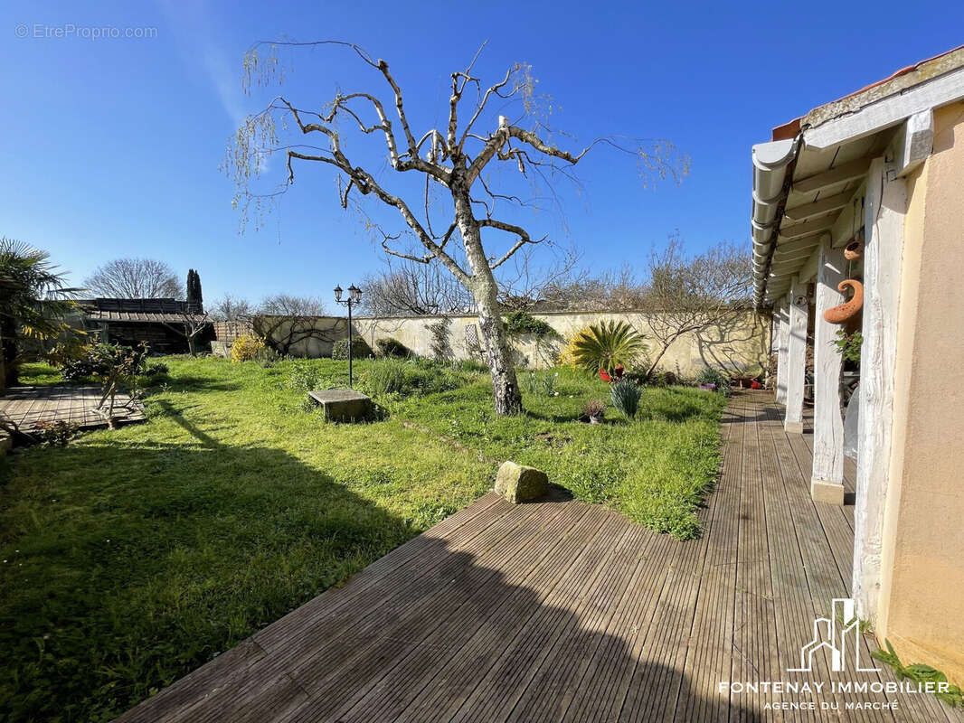 Maison à FONTENAY-LE-COMTE