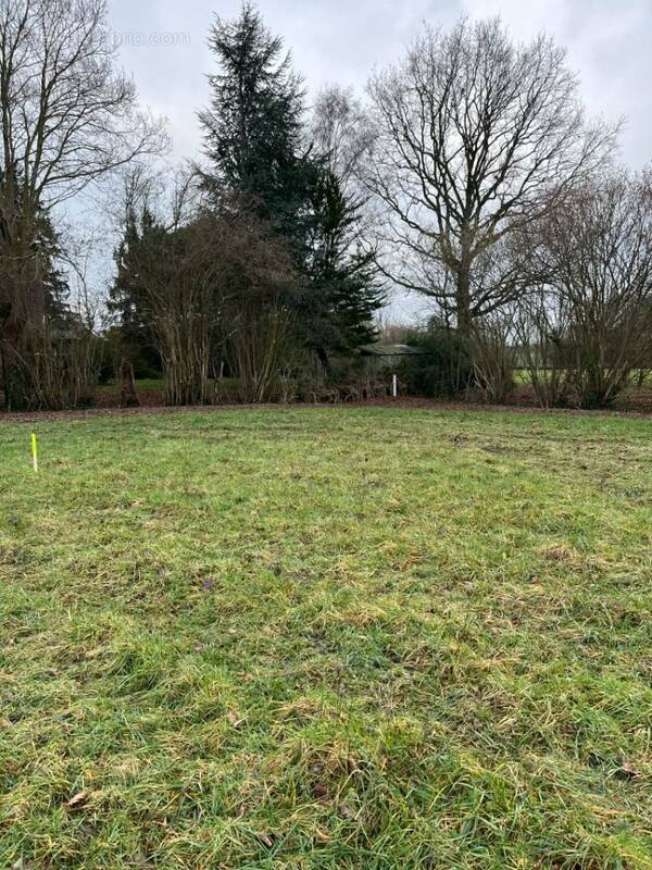 Terrain à SAINT-REMY-DES-MONTS