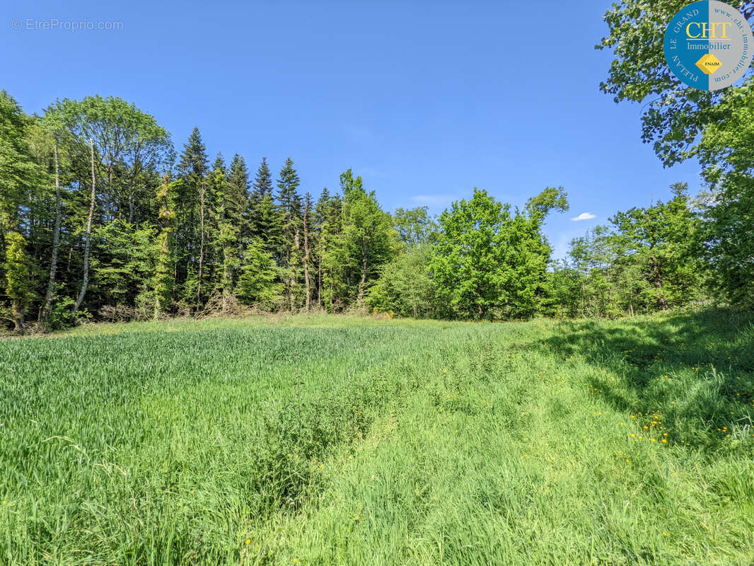 Un Manoir en Brocéliande à acheter avec CHT Immobilier - photo 40