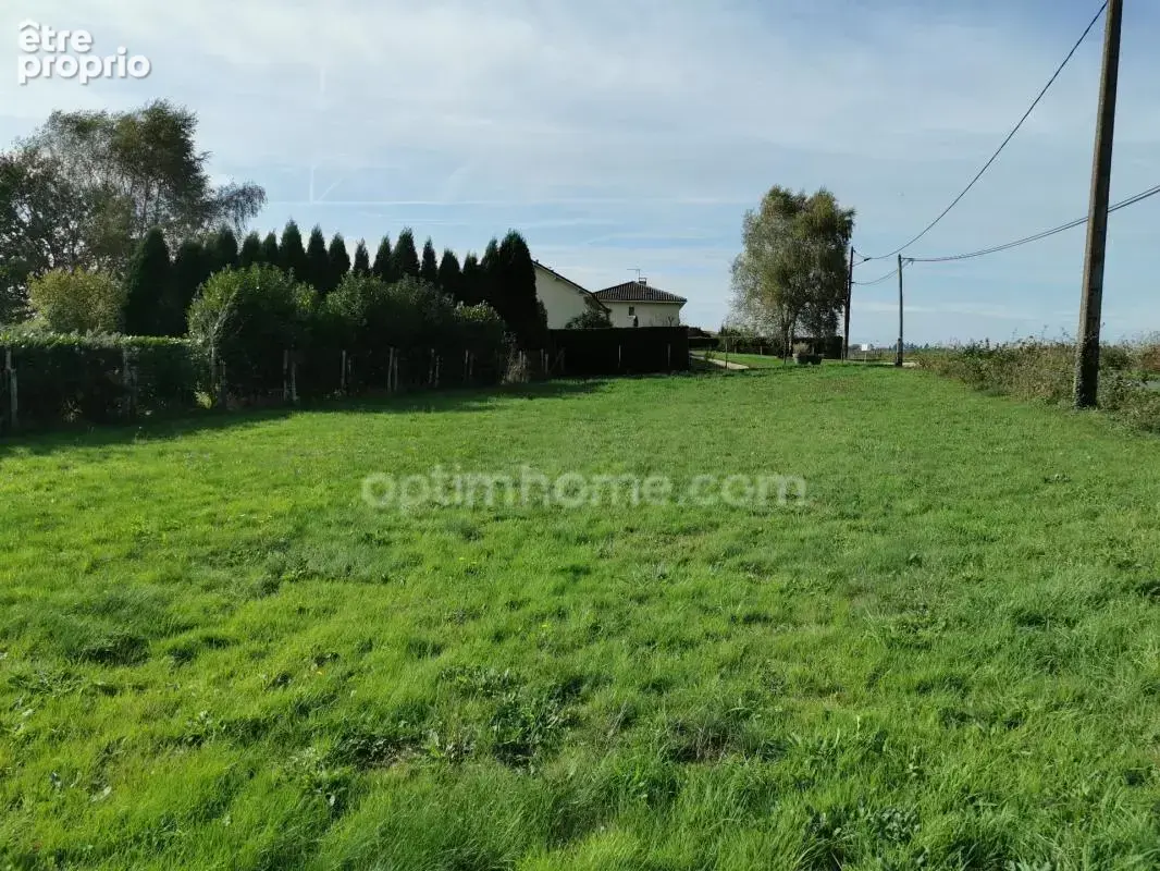Terrain 2379m² - proche saint-junien - environnement calme et campagne - photo 6