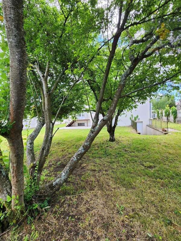 Vente Maison Messas(45190) 309 750ï¿œ - photo 2