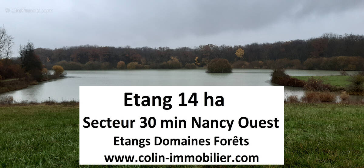 Terrain à NANCY