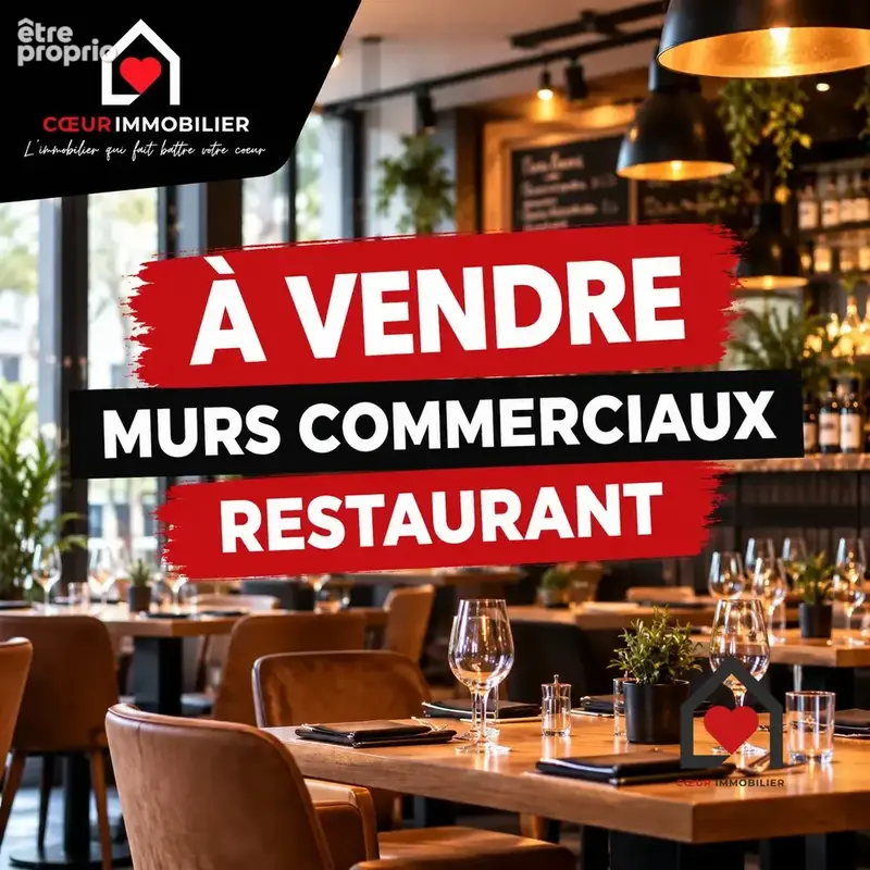 Photo Commerce à Agde au prix de 296 800€