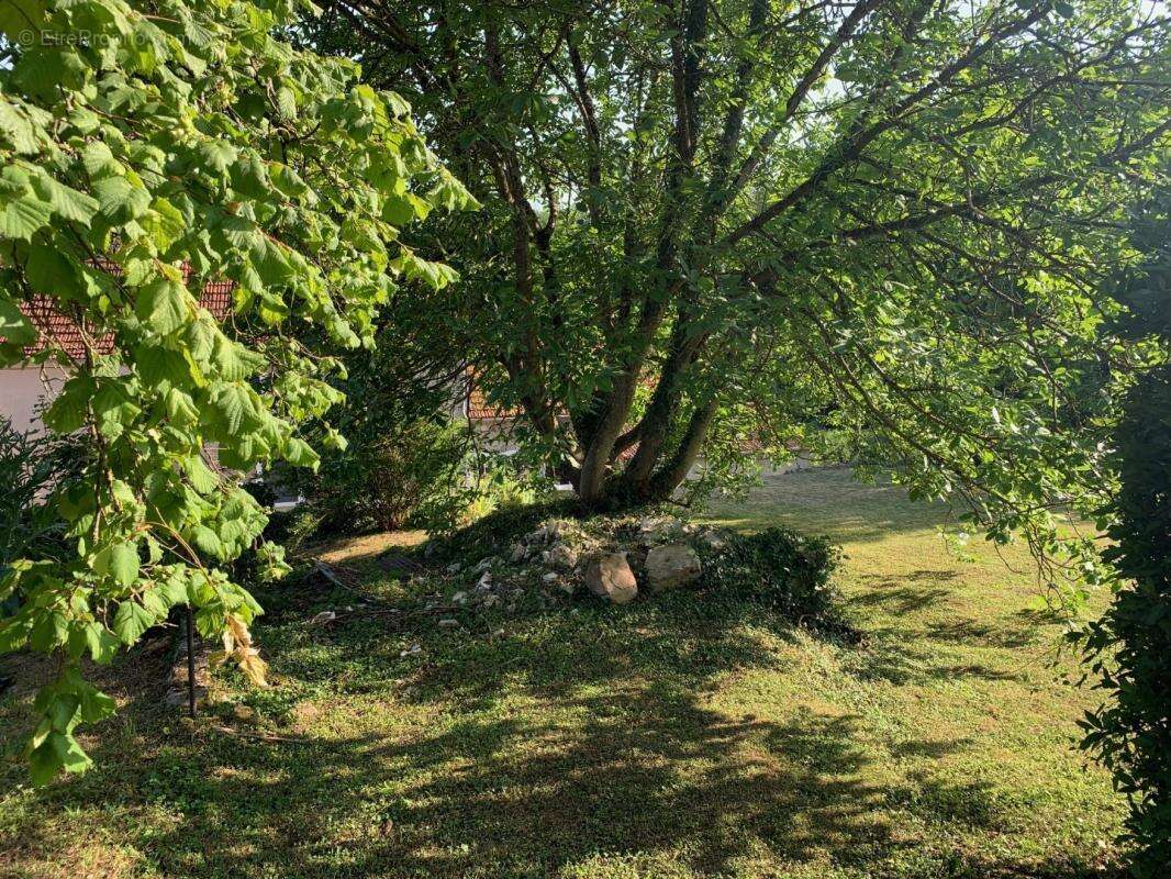 Terrain 472 m² à Belleau  - photo 5