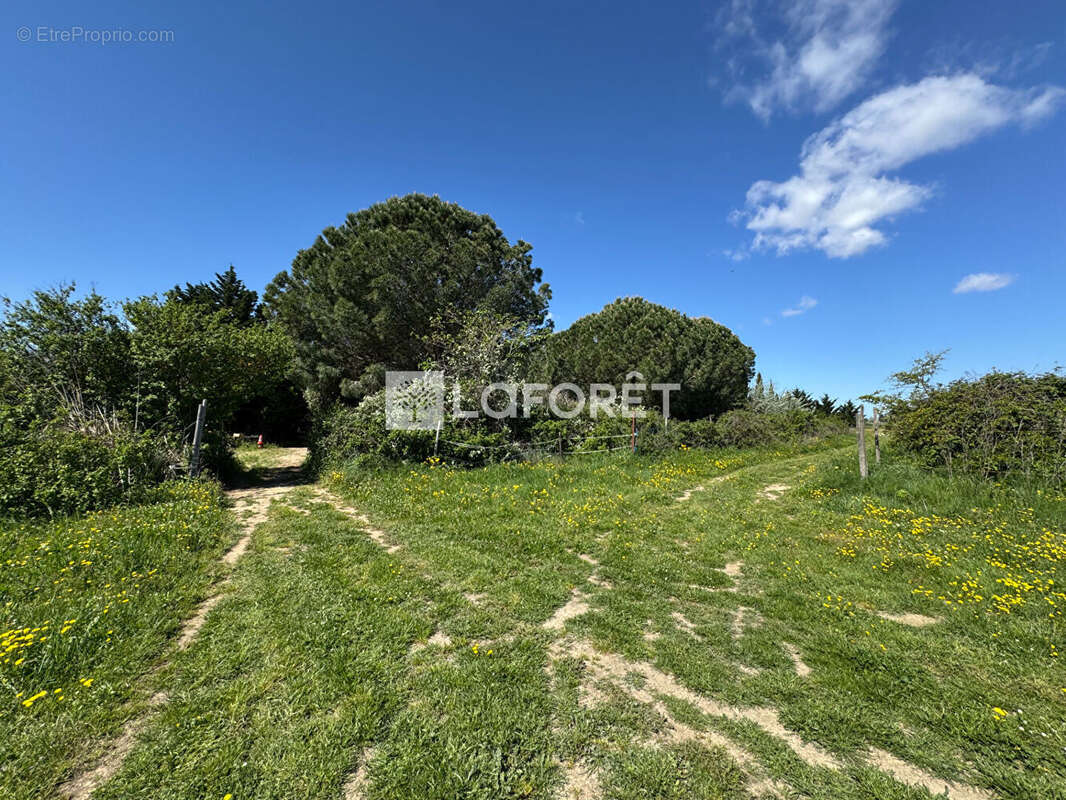 Terrain à SAINT-CYPRIEN