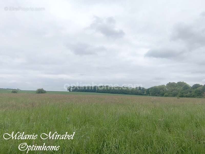 Terrain à COURDEMANCHE