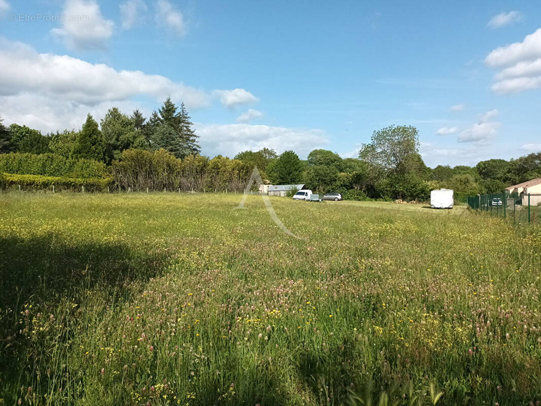 Terrain à SAINT-DENIS
