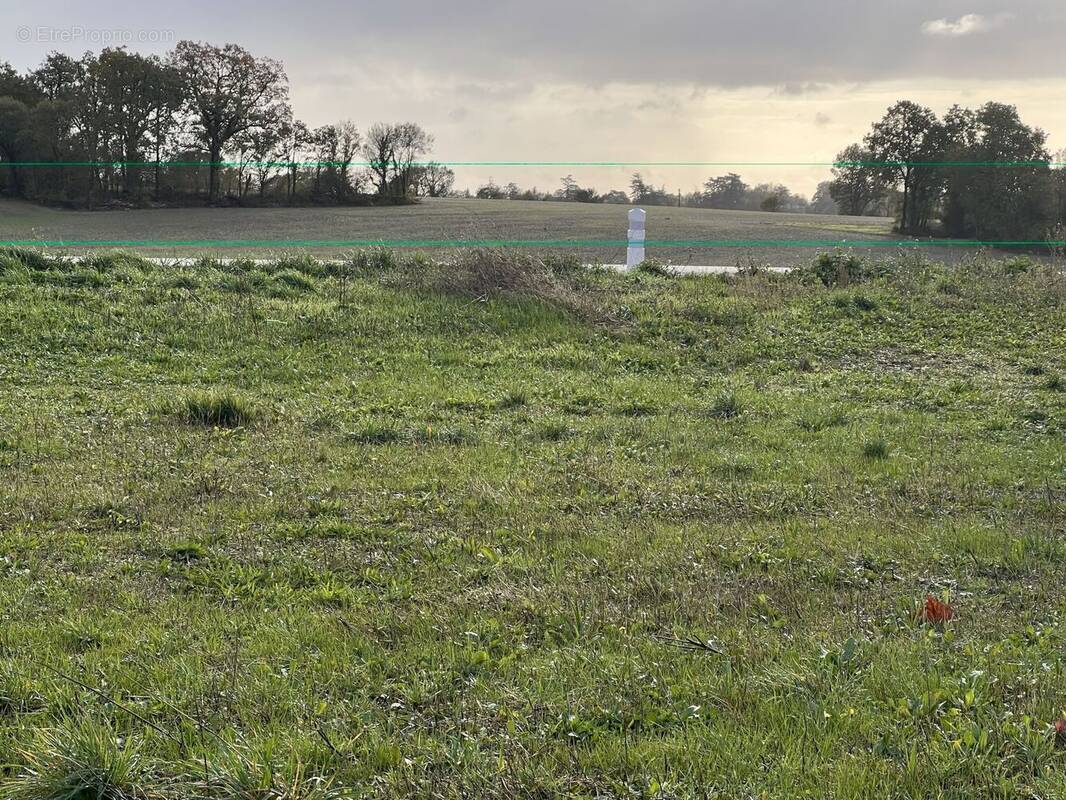 Terrain à RUELLE-SUR-TOUVRE