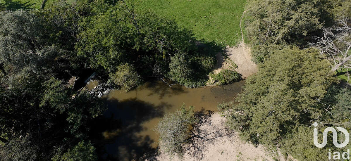 Photo 3 - Maison à SAINT-LEGER-SUR-VOUZANCE