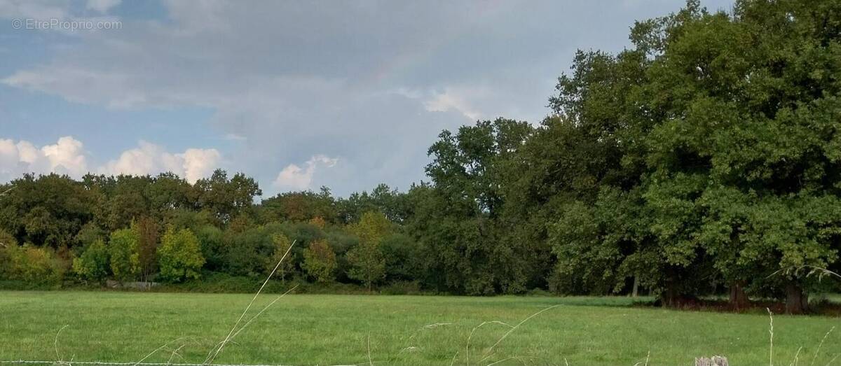 Terrain à LISTRAC-MEDOC