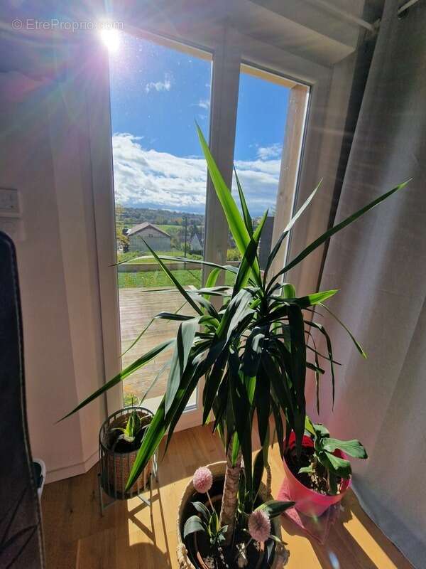 Maison à NEUFCHATEAU