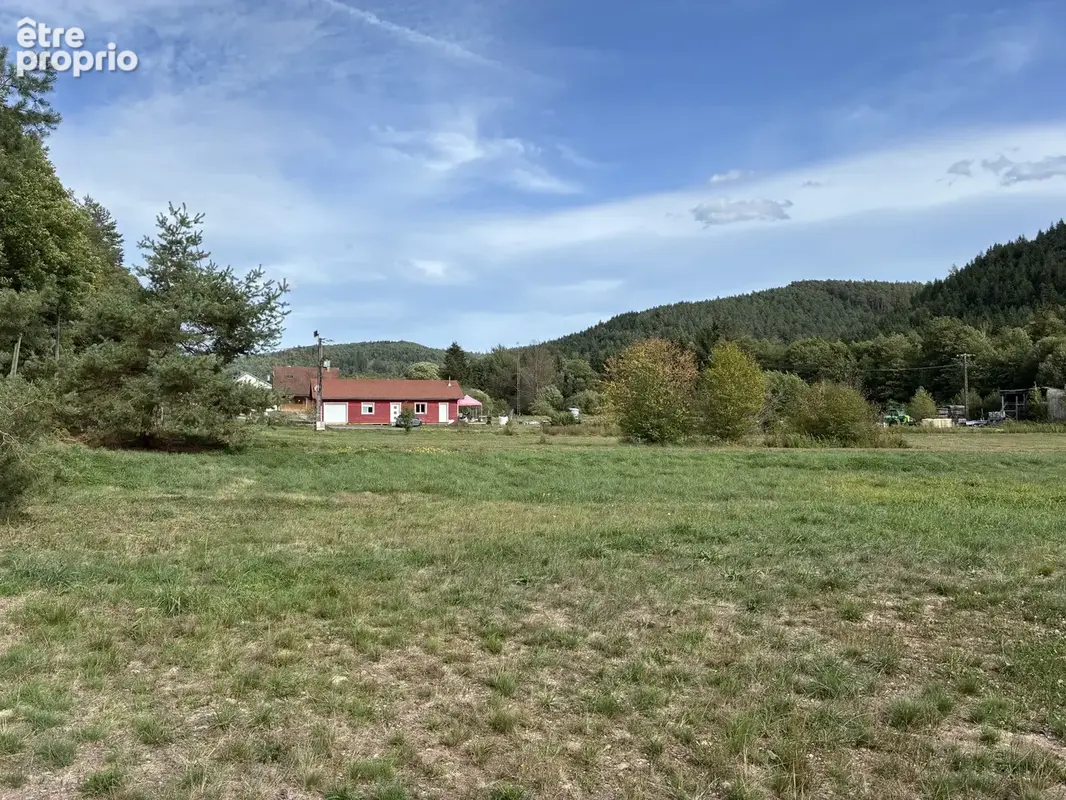 Etangs, Chalets : Domaine de 3 ha avec 3 étangs vidangeables - photo 11