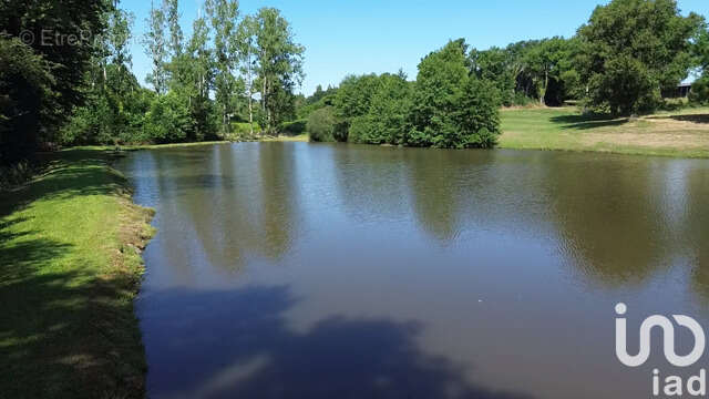 Photo 5 - Terrain à SAINT-DENIS-DE-JOUHET