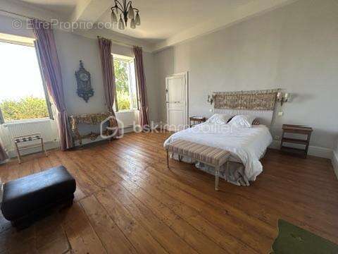 Château et sa maison de gardien - vue -terrain - piscine - dépendances - photo 12