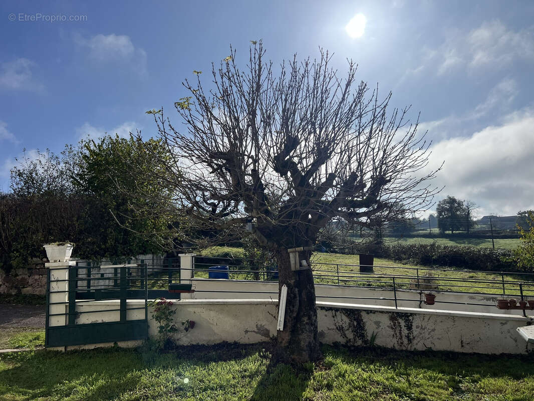 Maison à COLOMBIER-EN-BRIONNAIS