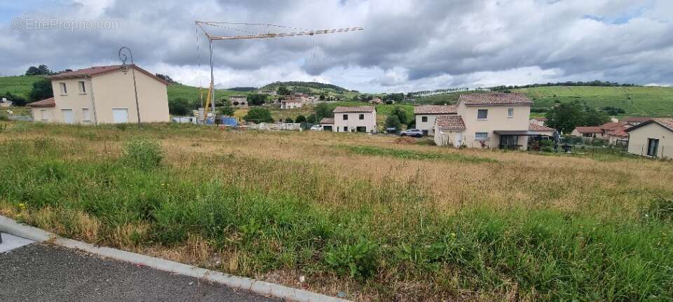 Terrain 540 m² à Fleurie  - photo 4