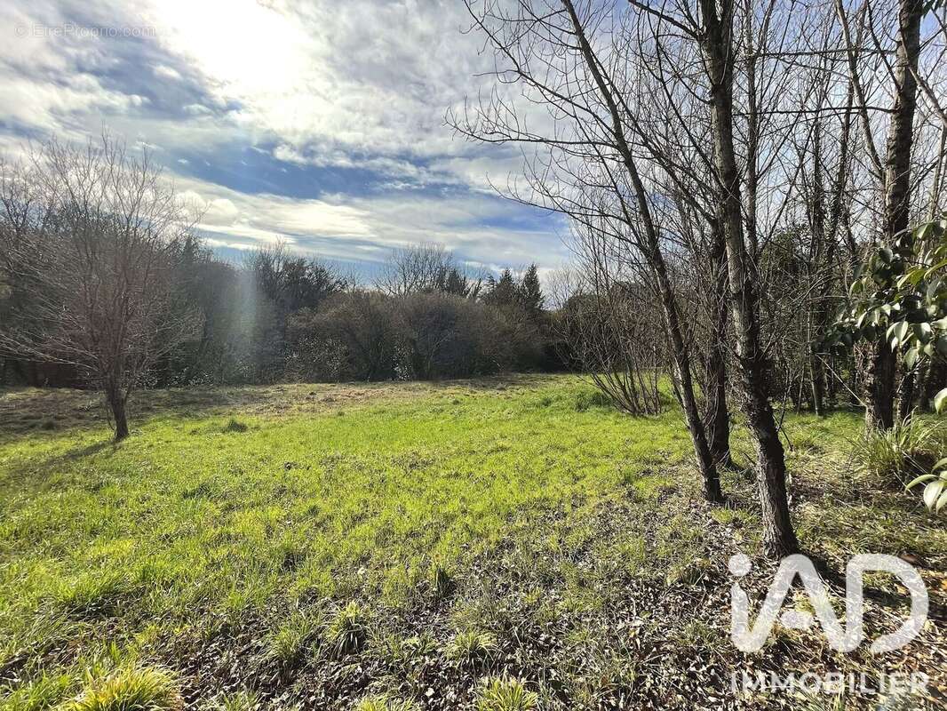 Terrain 3000 m² à Artigues-Pres-Bordeaux  - photo 3