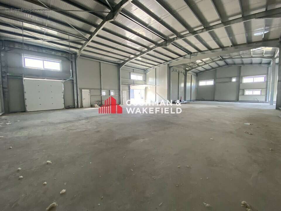 486 m² à Grisolles  - photo 3