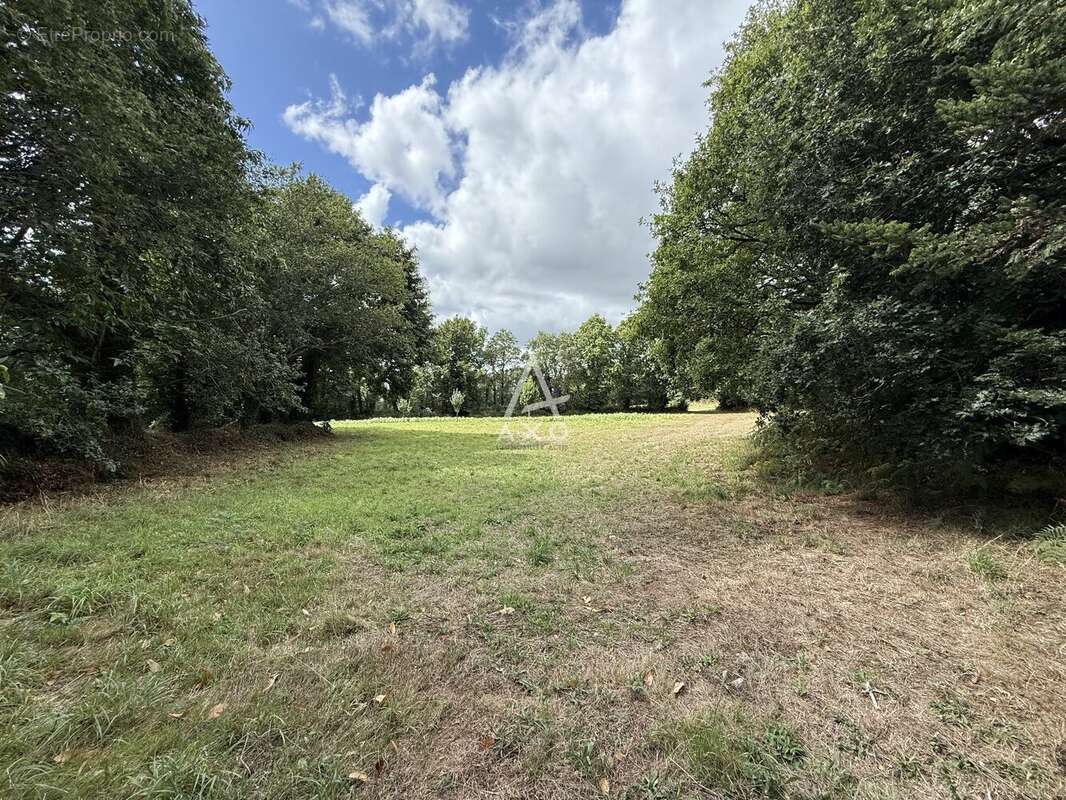 Belle maison familiale au calme à 10 mn de Quimperlé - photo 20