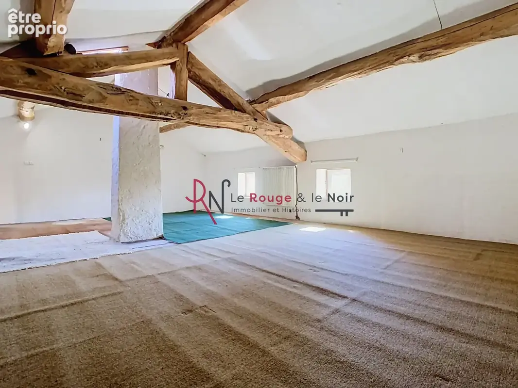 Talencieux - Au calme - Maison indépendante en pierres apparentes sans vis-à-vis avec nombreuses annexes - photo 14