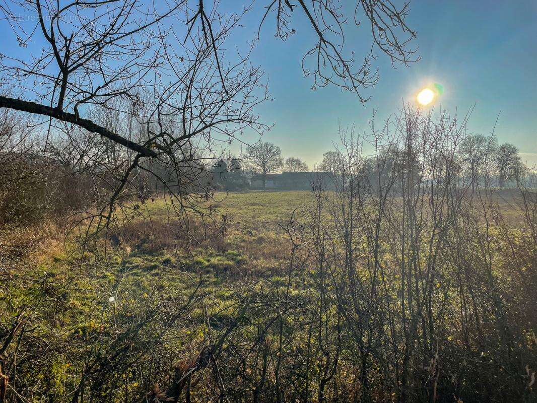 Terrain de loisirs Châtres Sur Cher - photo 2