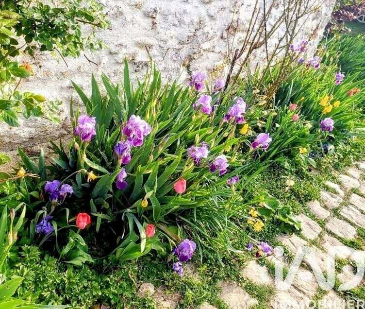 Photo 5 - Maison à LA FERTE-SOUS-JOUARRE