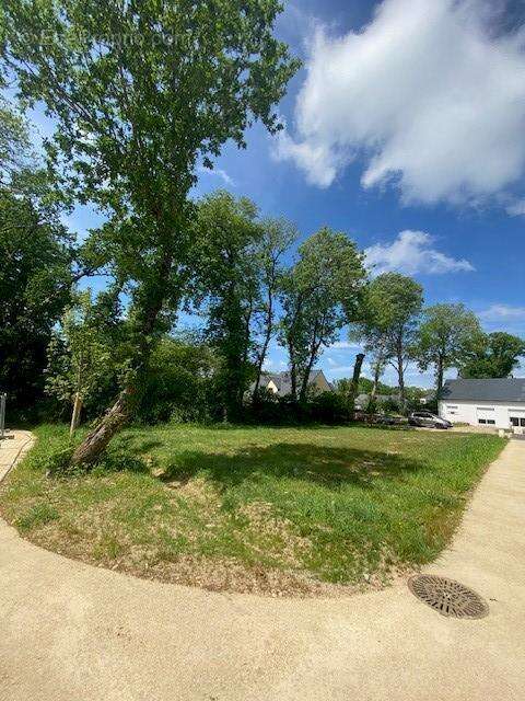 Terrain a batir 305m² pluvigner - photo 2