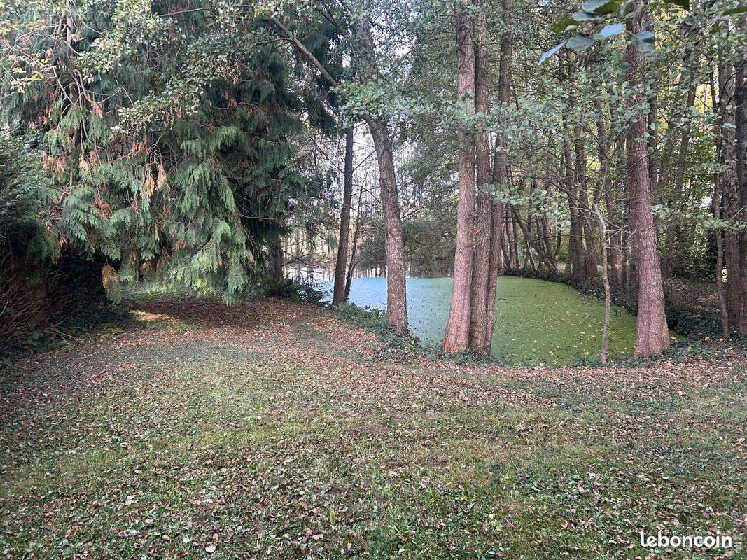 superbe étang - photo 2