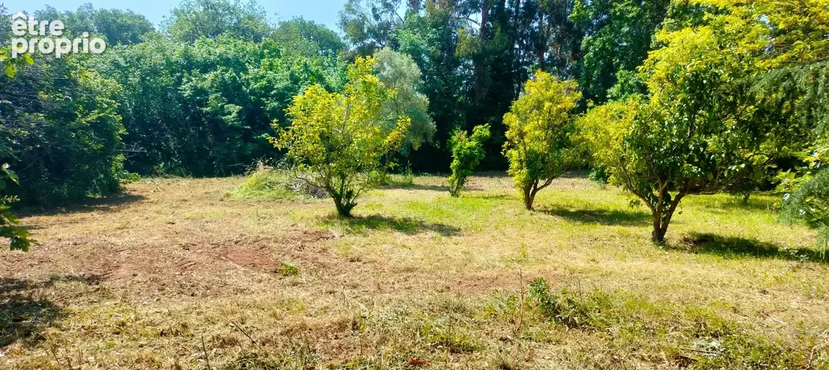 A vendre Terrain de 2200 m2, plat, arboré et clôturé à SAN NICOLAO (HAUTE CORSE) - photo 4