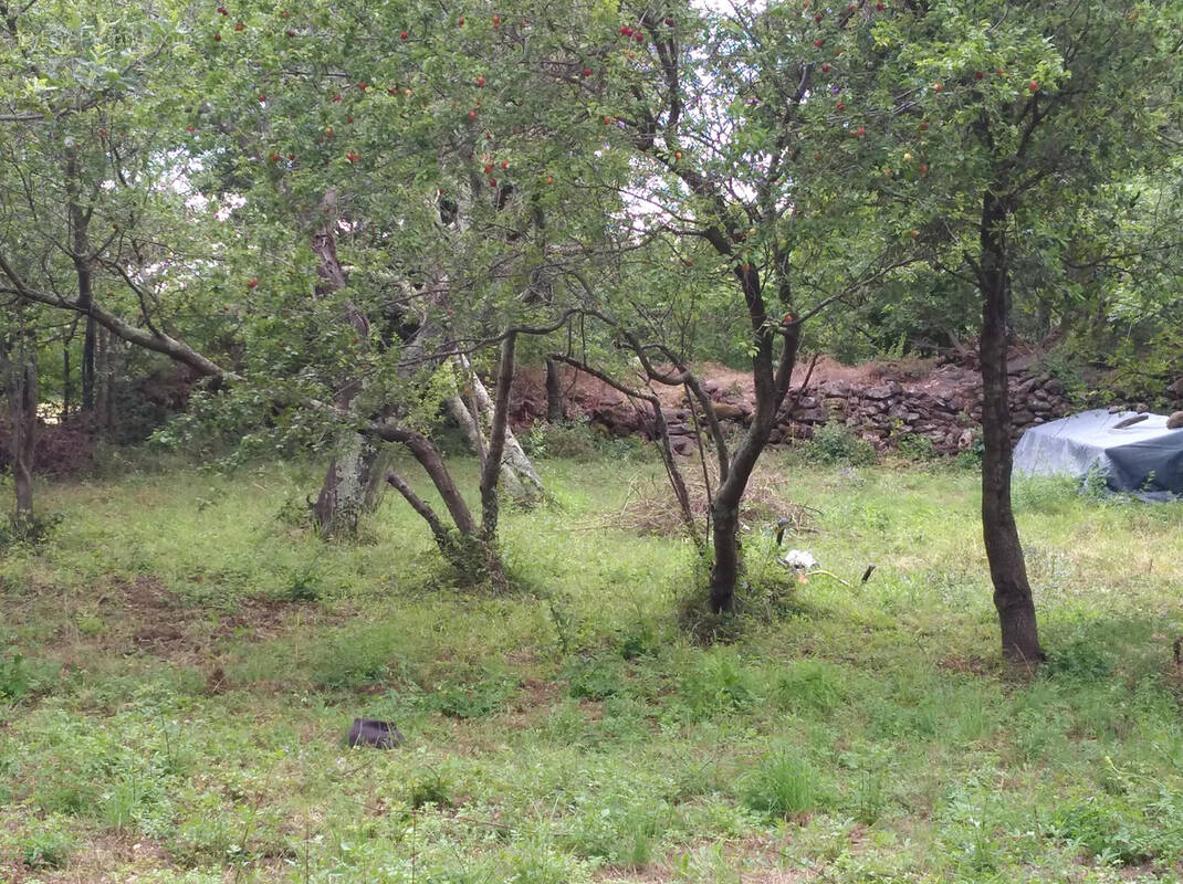 Terrain à VALMASCLE