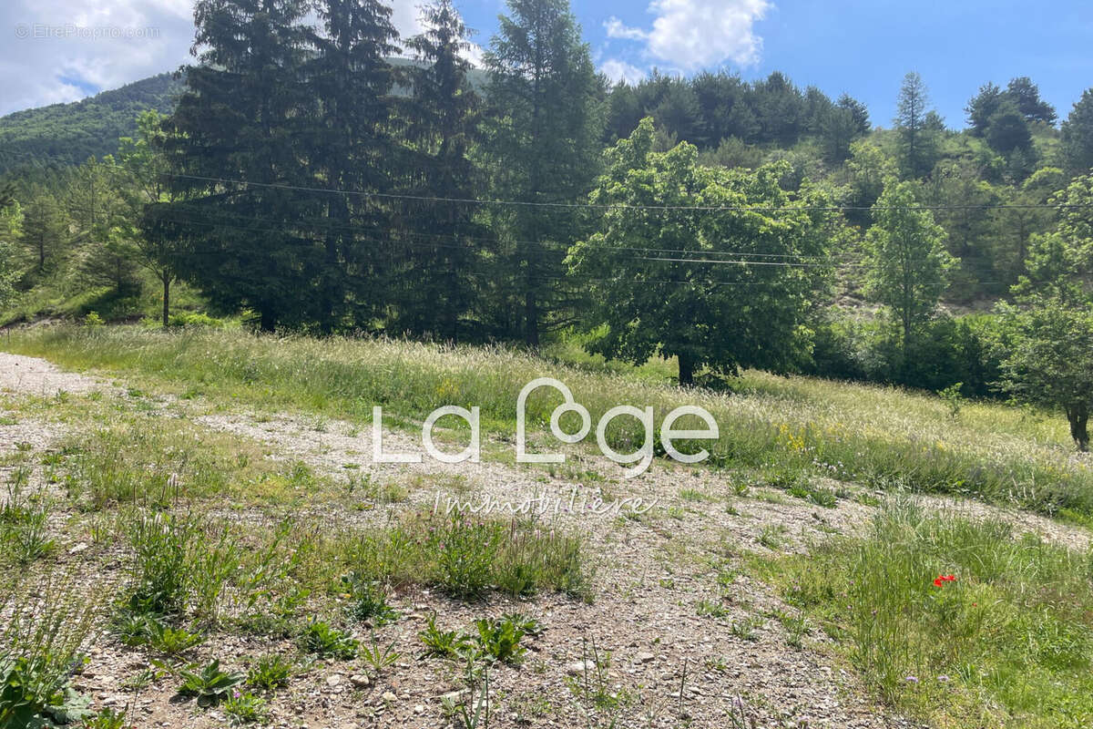 Terrain 7462 m² à Rabou  - photo 7