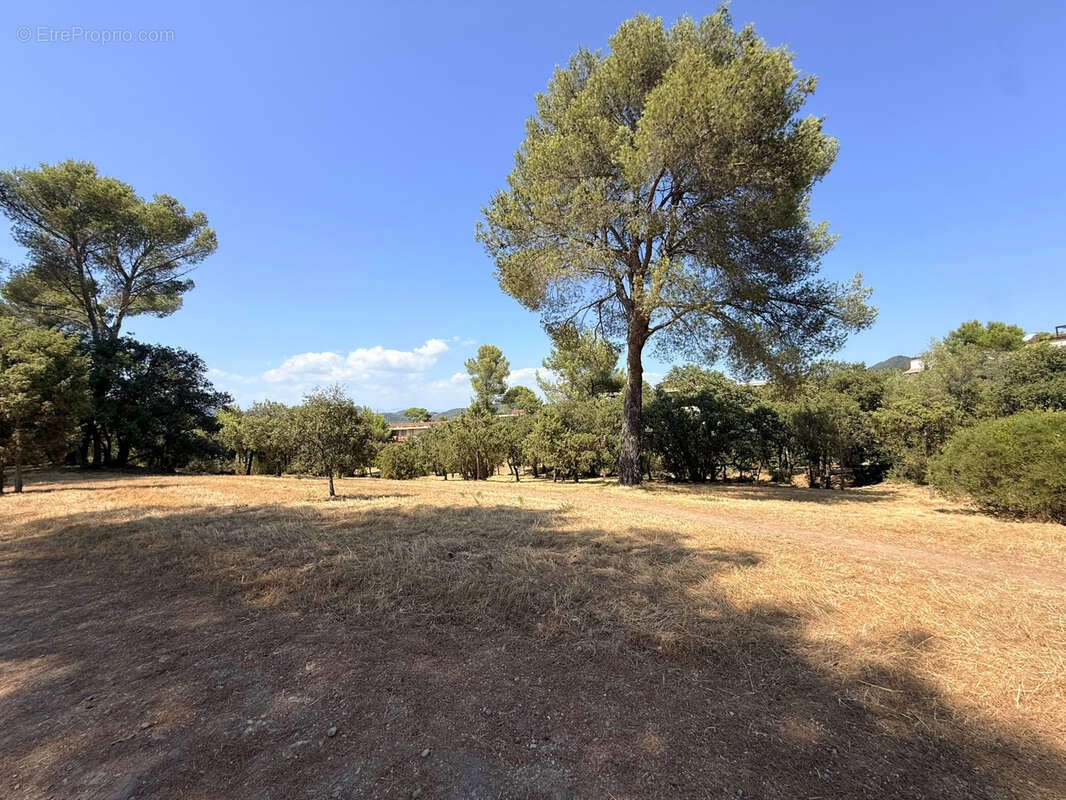 Frejus, un ecrin de verdure en dernier etage - photo 9