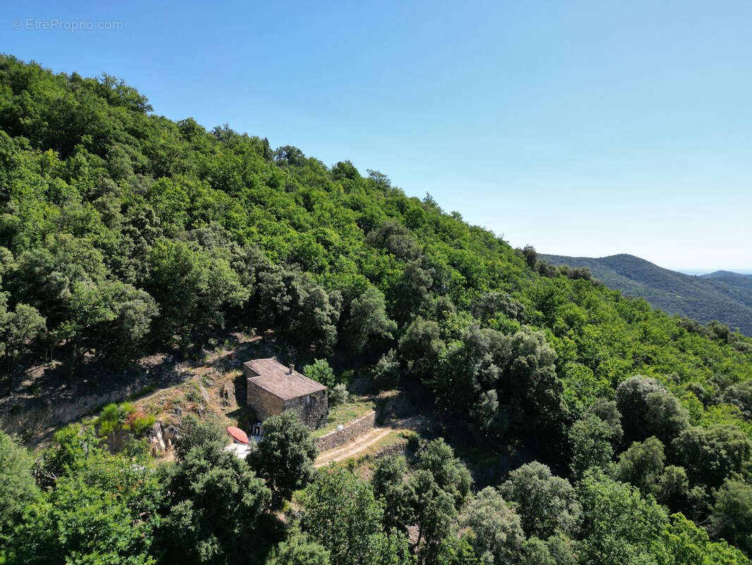 Autre à SAINT-ROMAN-DE-CODIERES