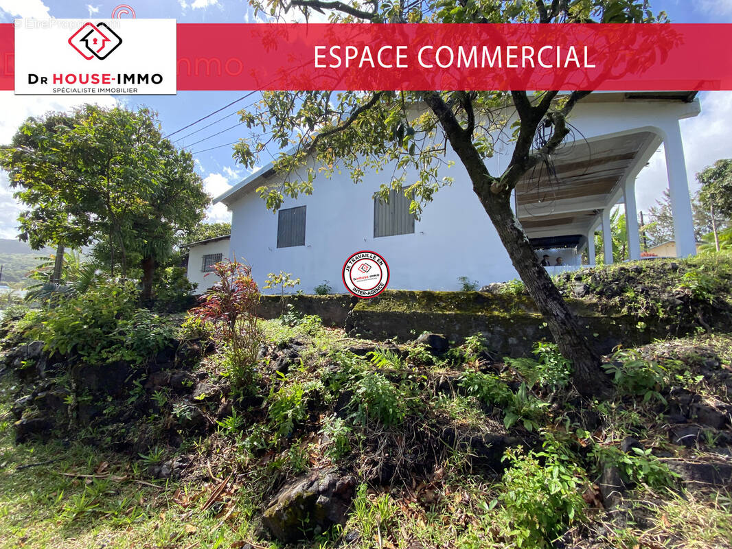 Commerce à SAINT-PHILIPPE