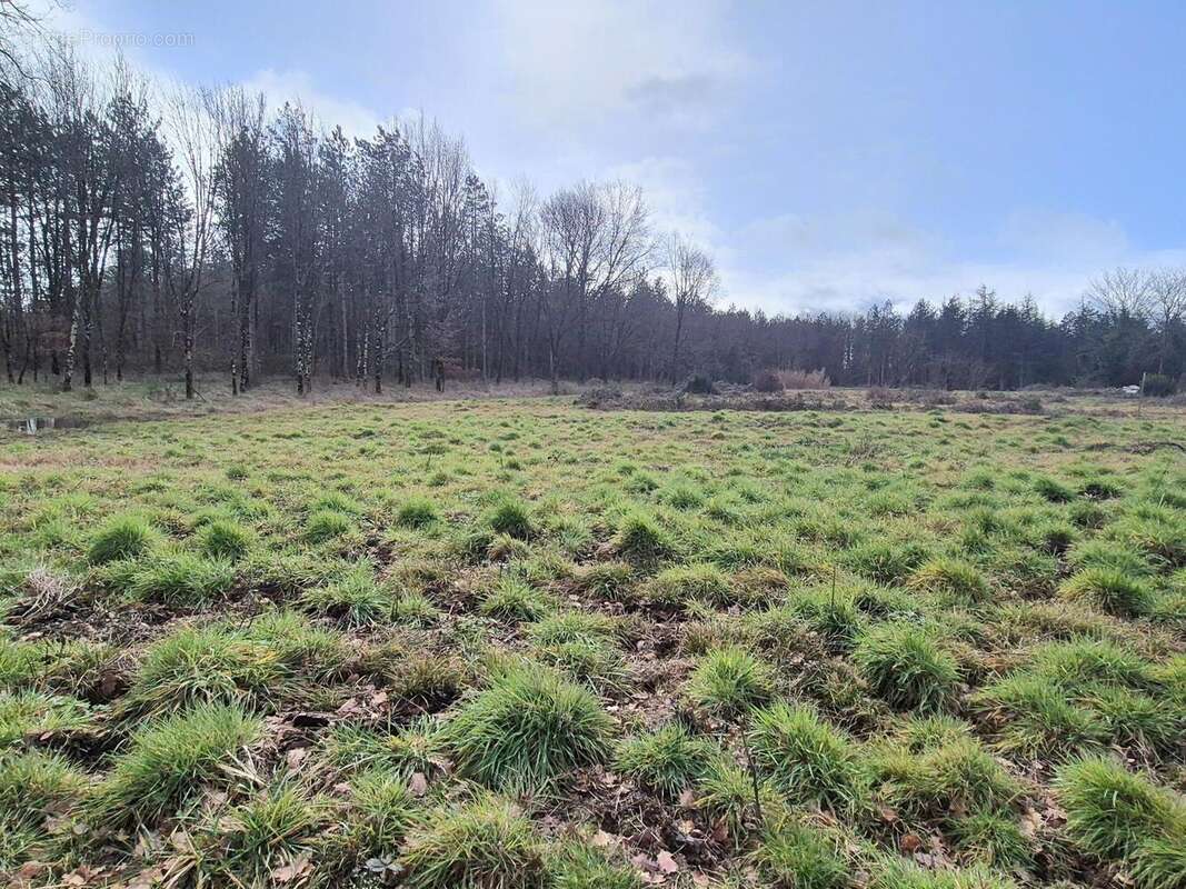 Terrain 1170 m² à Villematier  - photo 2
