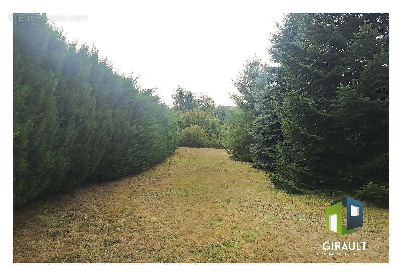 Terrain à TRAUBACH-LE-HAUT