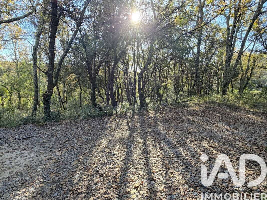 Photo 5 - Terrain à SAINT-HIPPOLYTE-DU-FORT
