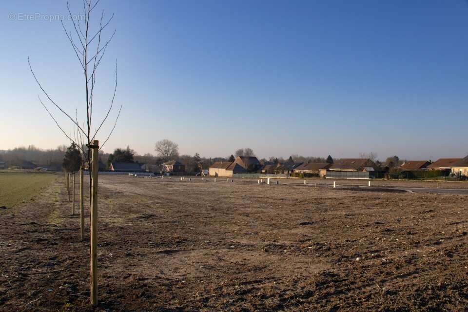 Terrain à AUBIGNY-AU-BAC