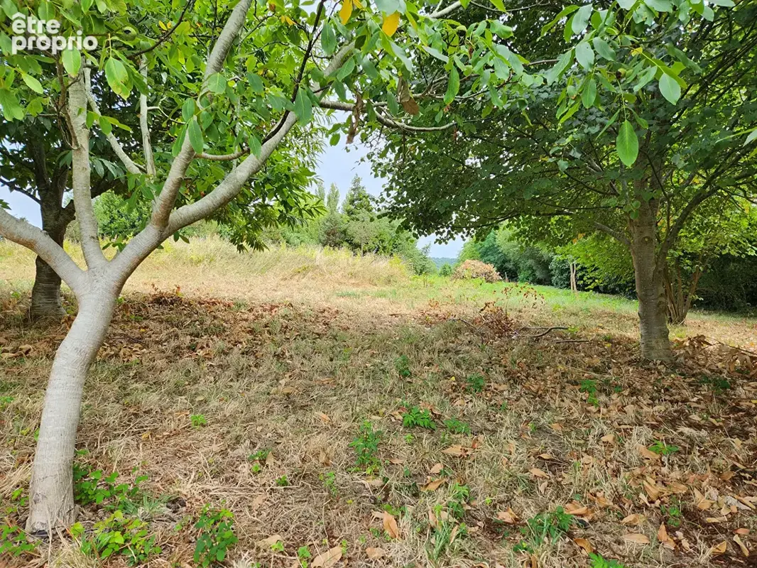 BIDART - Belle Maison de caractère avec son vaste terrain arboré - photo 8